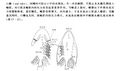 2026年5月25日 (一) 09:45版本的缩略图