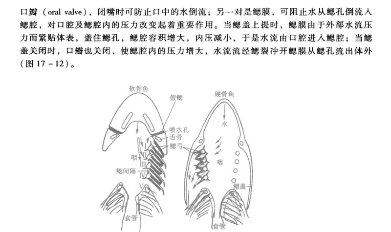 文件:普动p344.jpg