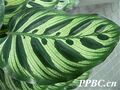 2026年5月21日 (四) 14:46版本的缩略图