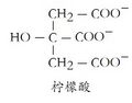 2025年1月1日 (三) 17:41版本的缩略图