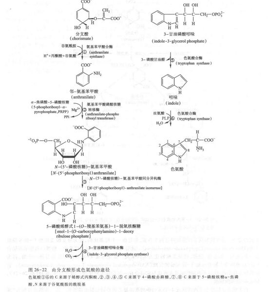 文件:90A5ED1E-5E0A-4DF3-B6B0-D7937EE6B1F0.jpg