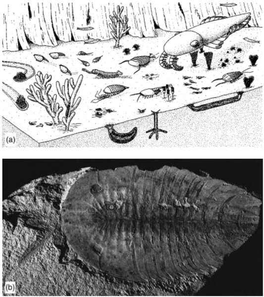 文件:屏幕截图 2025-09-08 092119.png