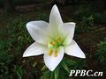 2026年5月5日 (二) 20:53版本的缩略图