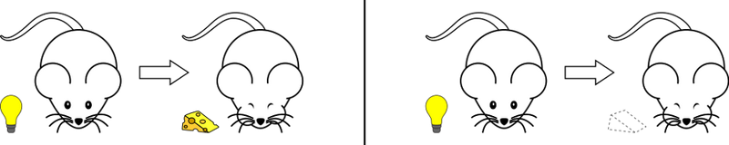 文件:Forward Conditioning.svg.webp