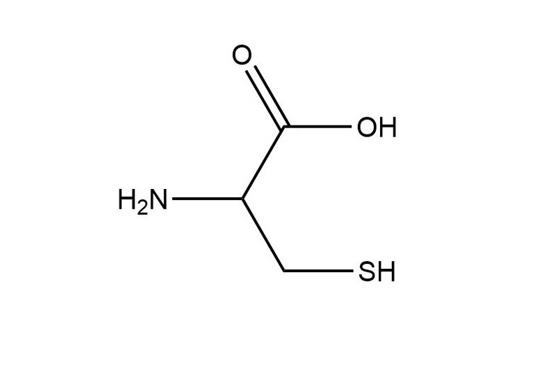 文件:00e93901213fb80e7bec10d0179d382eb9389b503e2a-bkimg-process,v 1,rw 3,rh 2,maxl 1050,pad 1,color ffffff.webp