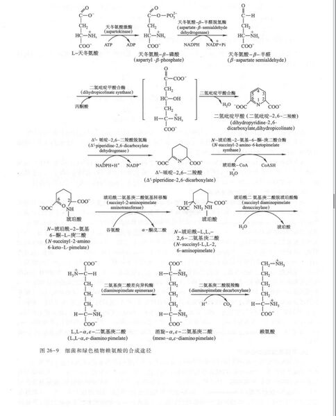 文件:DDF2F6B4-A067-4C6F-A213-BF1E42D393B0.jpg