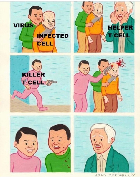 文件:T cell meme.png