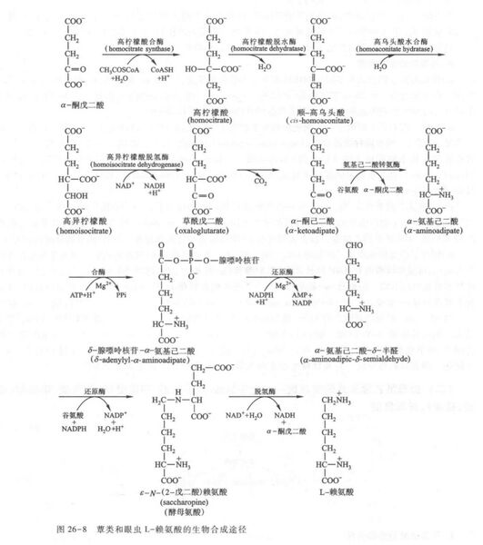 文件:1841D10E-EEFD-41EB-9D39-A6D070DF9244.jpg