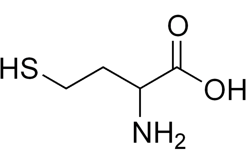 文件:77094b36acaf2edd9ad742678d1001e93901931d-bkimg-process,v 1,rw 3,rh 2,maxl 1050,pad 1,color ffffff.webp