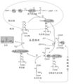 2025年1月17日 (五) 07:45版本的缩略图