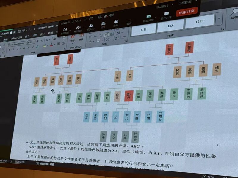 文件:神级家谱.jpg
