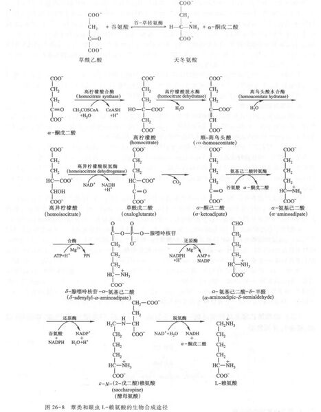 文件:423ACFA5-5F30-4238-88DC-F155FDF34AC6.jpg