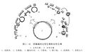 2026年5月21日 (四) 15:23版本的缩略图