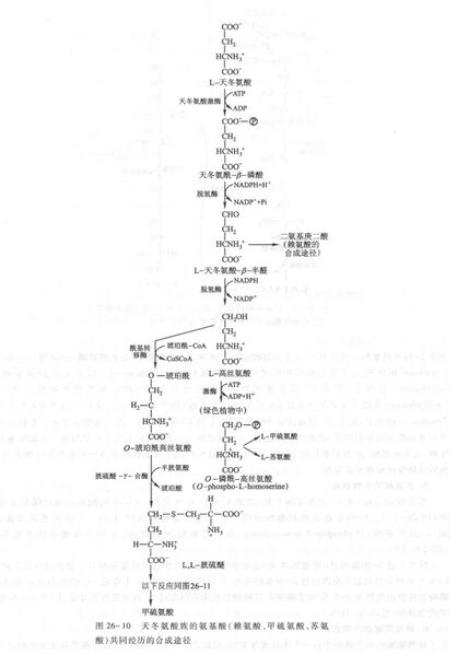 文件:B473025D-3183-4C61-9439-AB3165B2D62D.jpg