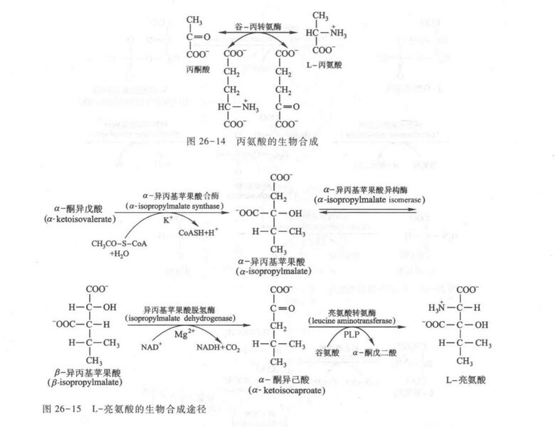 文件:2DED4D57-57F6-4EB0-975E-758B04D7554B.jpg