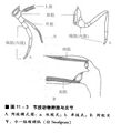 2026年5月25日 (一) 20:28版本的缩略图