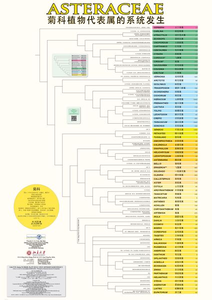 文件:AstPP-CN-2022-V1a 页面 2.jpg