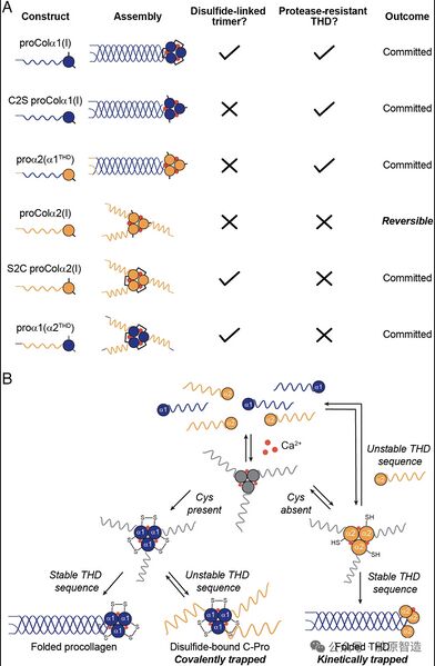 文件:Screenshot 20260116 160832 com.huawei.photos.jpg