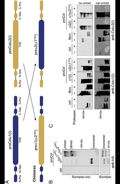 文件:Screenshot 20260116 155449 com.huawei.photos.jpg