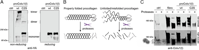 文件:Mmexport1768529629976 edit 27907664303779.png