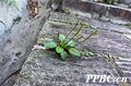 2026年5月23日 (六) 11:35版本的缩略图