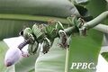 2026年5月21日 (四) 14:44版本的缩略图