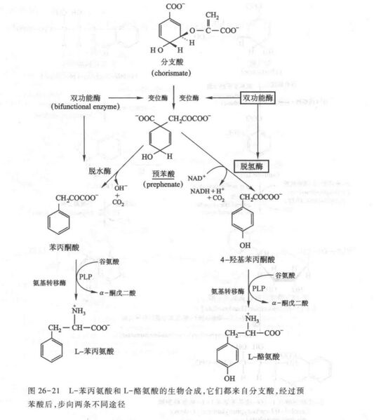 文件:1FDF4928-4EEF-4B0D-8B60-B88590E00894.jpg