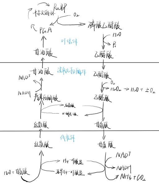 文件:Screenshot 2025-07-14-18-58-18-825 com.freenotes.freenotes-edit.jpg