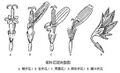 2026年5月23日 (六) 09:37版本的缩略图