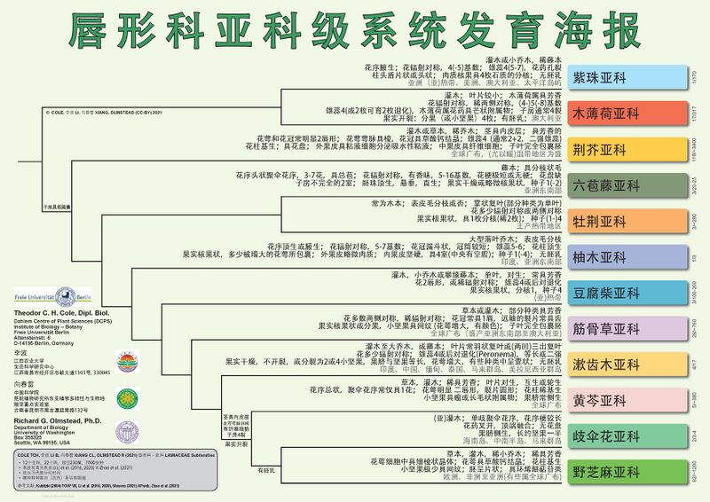 文件:LamPH-subfam-CN-V1 页面 2.jpg