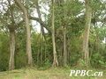 2026年5月22日 (五) 17:19版本的缩略图