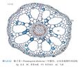 2026年5月17日 (日) 22:24版本的缩略图
