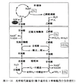 2026年5月3日 (日) 15:20版本的缩略图