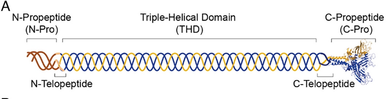 文件:Mmexport5bf4f2ff870408f8a5240d9da865d790 1768529616113 edit 23644538773322.png