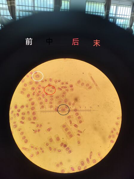 文件:微信图片 20250603142411.jpg