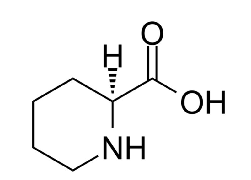 文件:78524D40-1F79-4BC8-BEB1-B0EE400B6B82.jpg