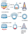 2024年10月21日 (一) 17:14版本的缩略图