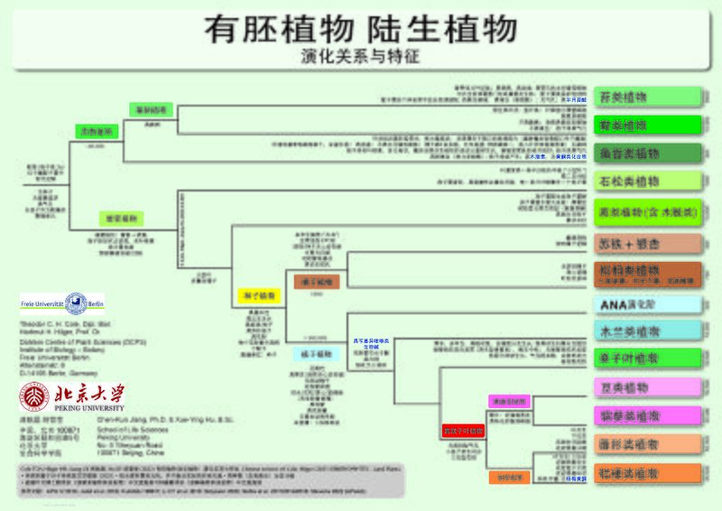 文件:EmbPP-CN-2022-V1 页面 2.jpg