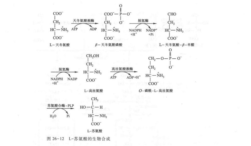 文件:23F359FA-1032-49DA-AEE6-293A9D1C4AD6.jpg