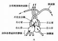 2026年5月27日 (三) 21:42版本的缩略图