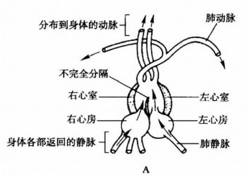 文件:普动p397.jpg